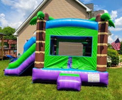 20240503 141411 1714831305 Tropical Deluxe Combo Bounce House (DRY)