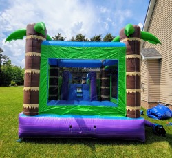 20240503 141444 1714831305 Tropical Deluxe Combo Bounce House (DRY)