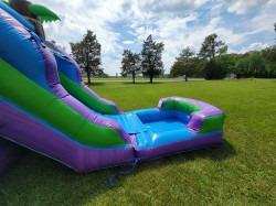 20240503 142304 1714831601 Tropical Deluxe Combo Bounce House (WET)
