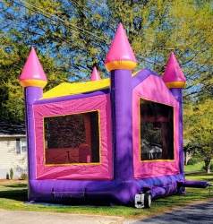 Book Pink Princess Bounce House Inflatable